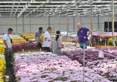 Floritec participated in the FlowerTrails for the first time and at a completely new location. The new location is a stone's throw from the auction in Naaldwijk.